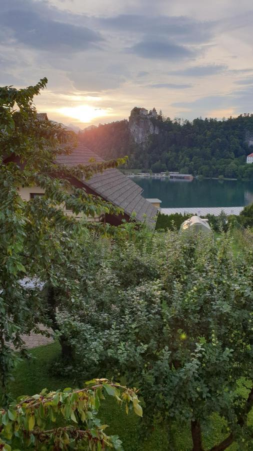 Villa Anna Bled Eksteriør billede